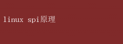 Linux SPIͨԭ
