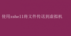 XshellʵսЧļ
