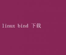 Linux BIND DNSָ