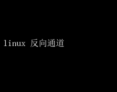 Linuxͨݴ似
