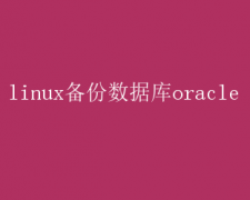 LinuxOracleݿⱸָ