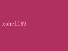 XshellʹüɣЧԶ̹ؼ
