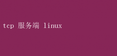 LinuxTCP˴ָ