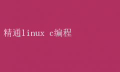 ͨLinux C̣Ч