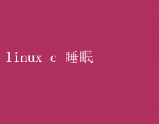 Linux CԱ̣ʵָЧ˯߹