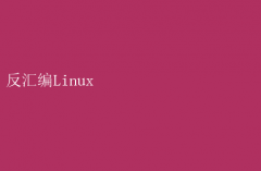 ̽Linux