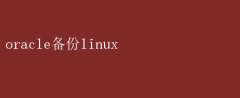 OracleݿLinuxʵսָ