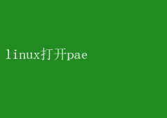 LinuxϵͳPAEģʽ̳